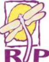 Statesboro, GA Drug Rehab Program